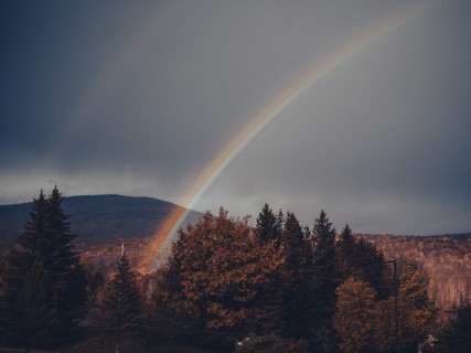 Selected work visual